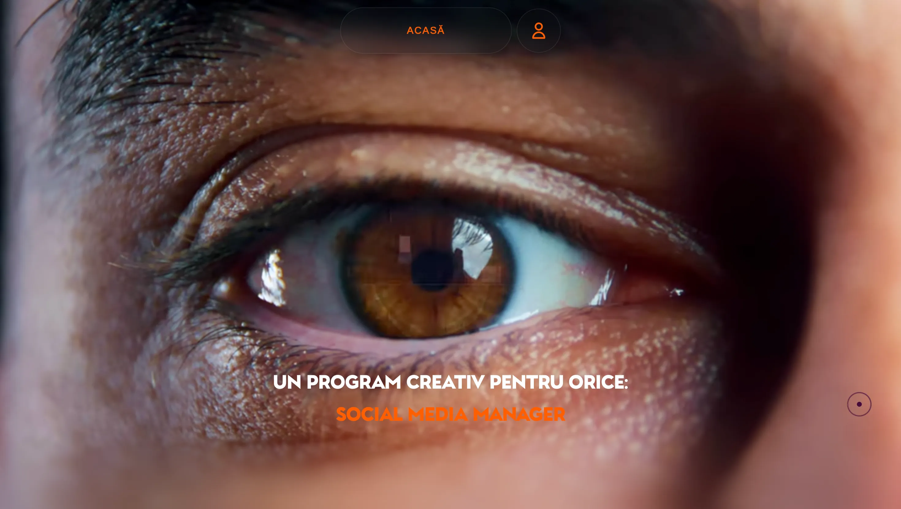 Alexandru Costea — Design & Development project by Achieve, web design studio in Brașov — screenshot 5